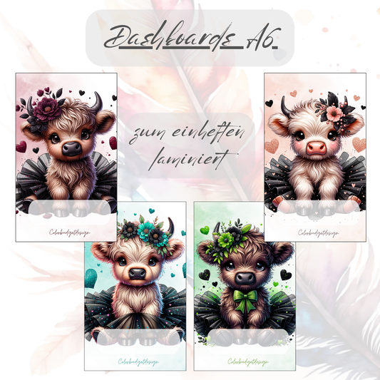 Deckblatt/Trennblatt A6